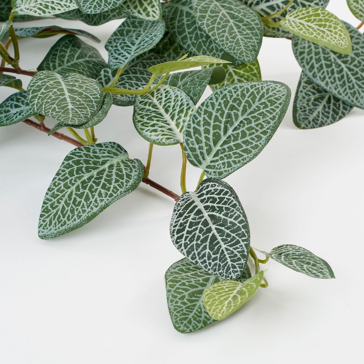 Fittonia Künstliche Hängepflanze – L15 x B20 x H54 cm – Grün