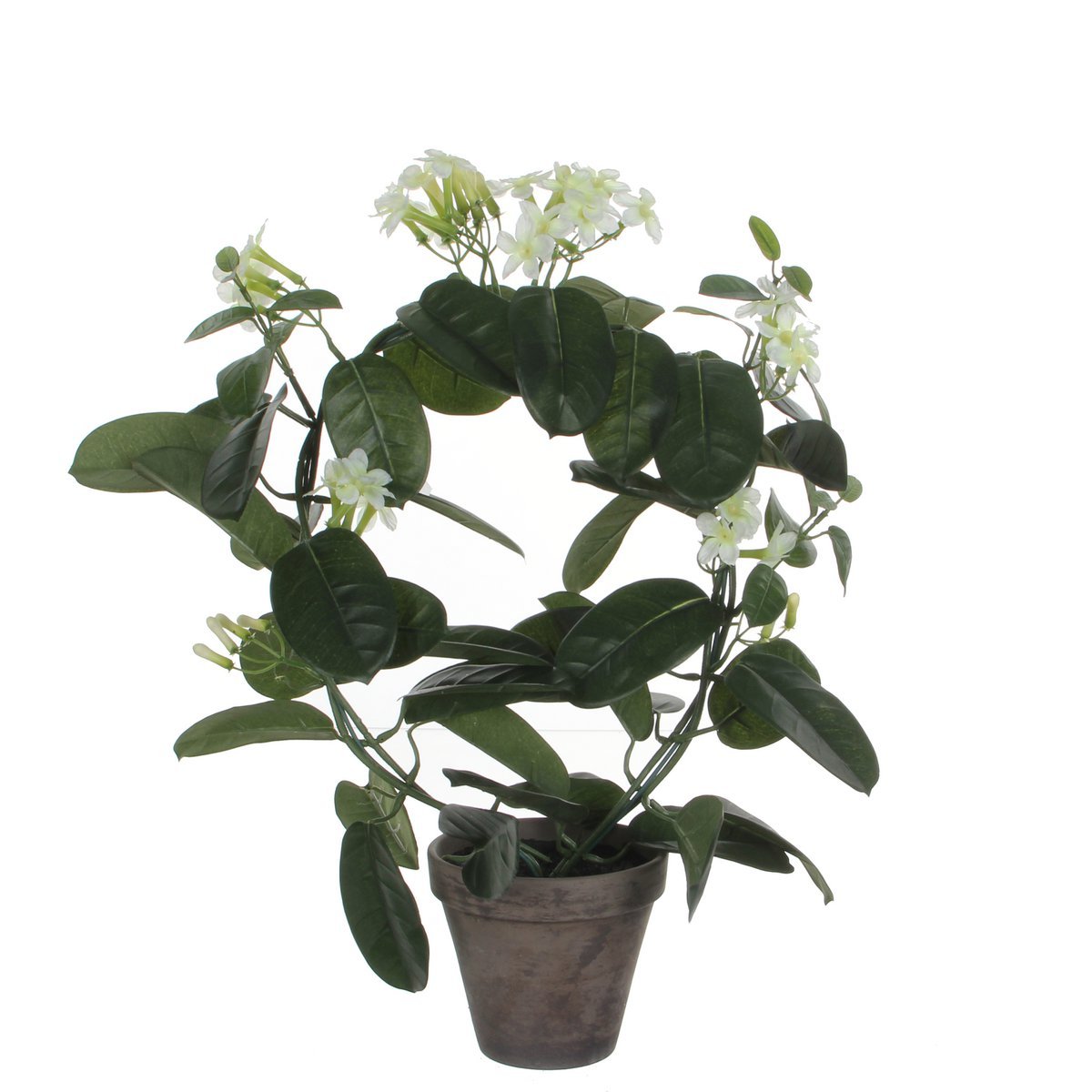 Künstliche Pflanze Stephanotis im Blumentopf Stan - H50 x Ø40 cm - Weiß