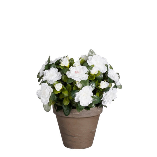 Künstliche Azaleenpflanze im Blumentopf Stan – H31 x Ø26 cm – Weiß
