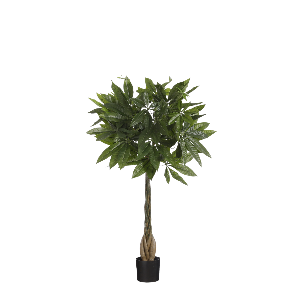 Künstliche Pflanze Pachira – H80 x Ø60 cm – Grün