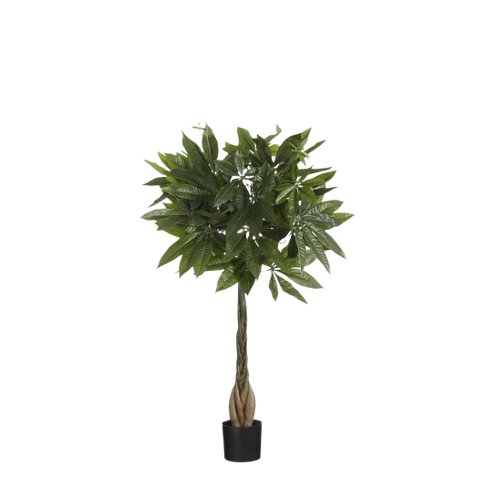 Künstliche Pflanze Pachira – H80 x Ø60 cm – Grün
