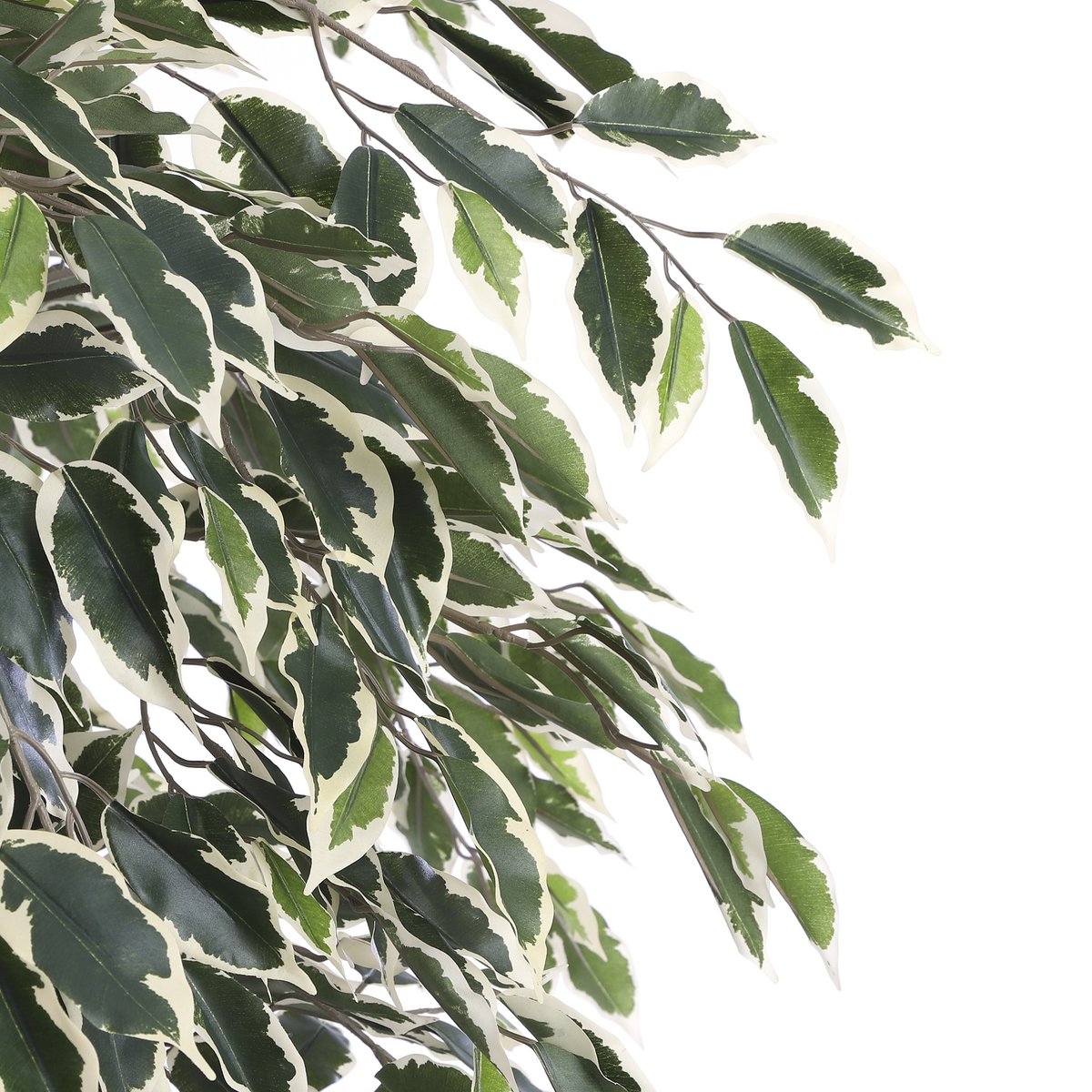 Künstliche Ficus-Pflanze – H180 x Ø90 cm – grün bunt
