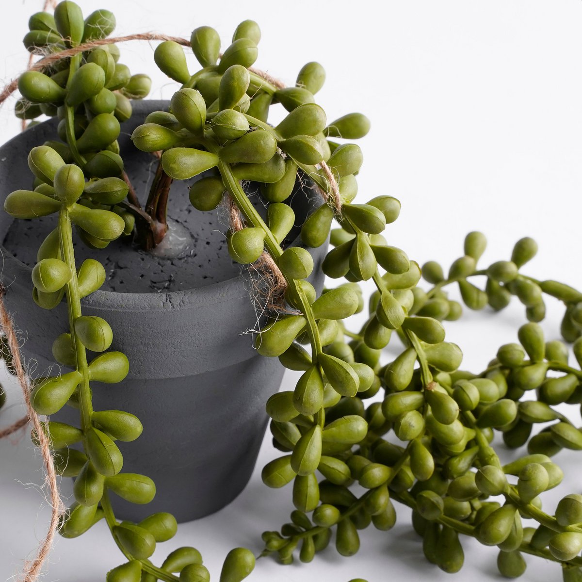 Senecio Künstliche Hängepflanze – H56 x Ø9 cm – Grün