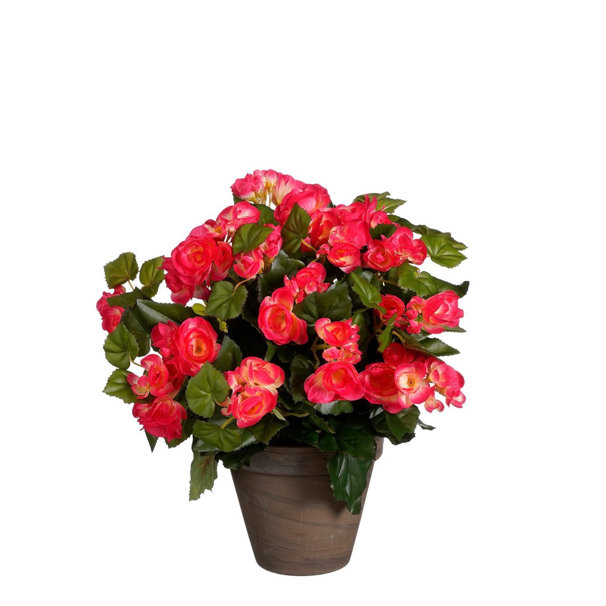 Künstliche Begonienpflanze im Blumentopf Stan – H37 x Ø36 cm – Dunkelrosa