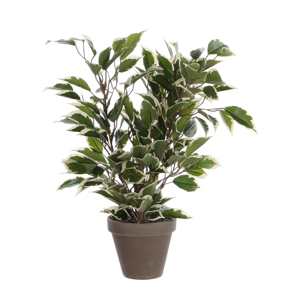 Künstliche Pflanze Ficus Natasja im Blumentopf Stan - H40 x Ø30 cm - Grün Bunt