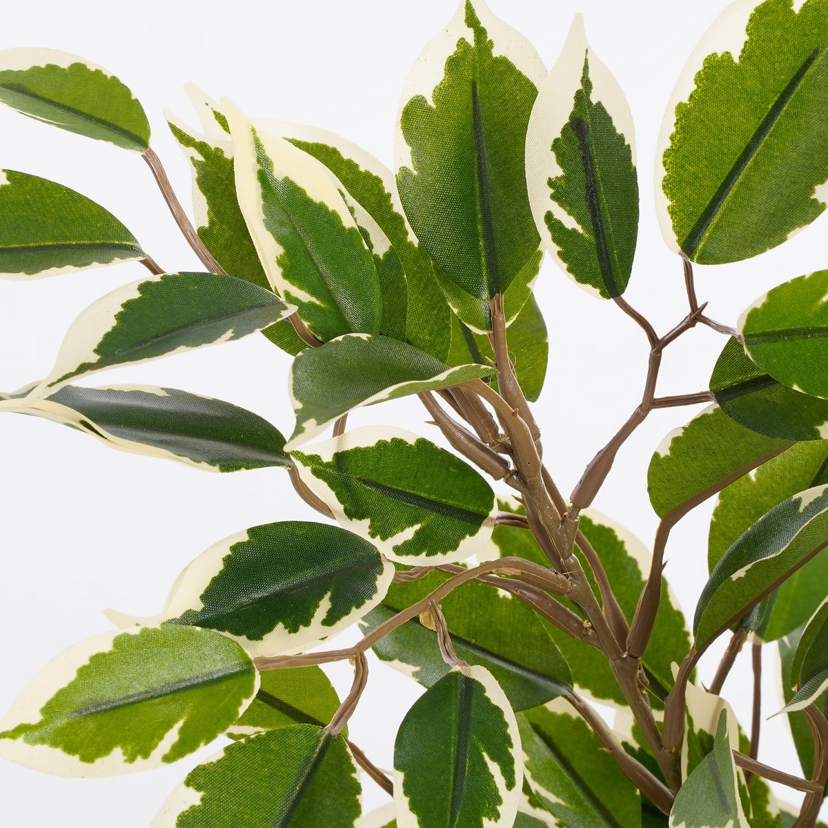 Künstliche Pflanze Ficus Natasja im Blumentopf Stan - H40 x Ø30 cm - Grün Bunt
